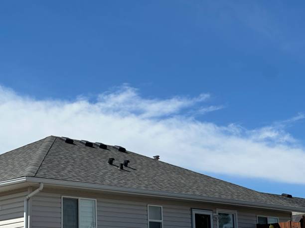 Best Green or Eco-Friendly Roofing Solutions  in East Liverpool, OH